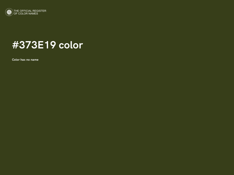 #373E19 color image