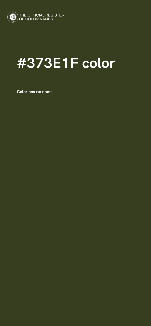 #373E1F color image