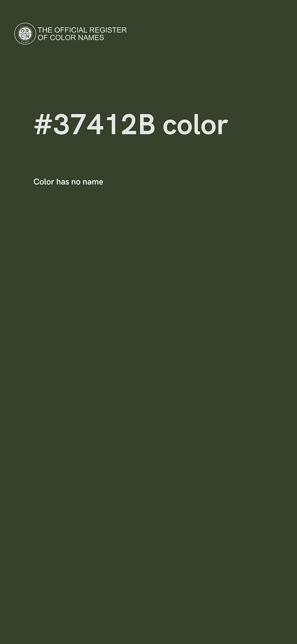 #37412B color image