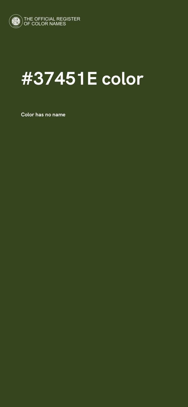 #37451E color image