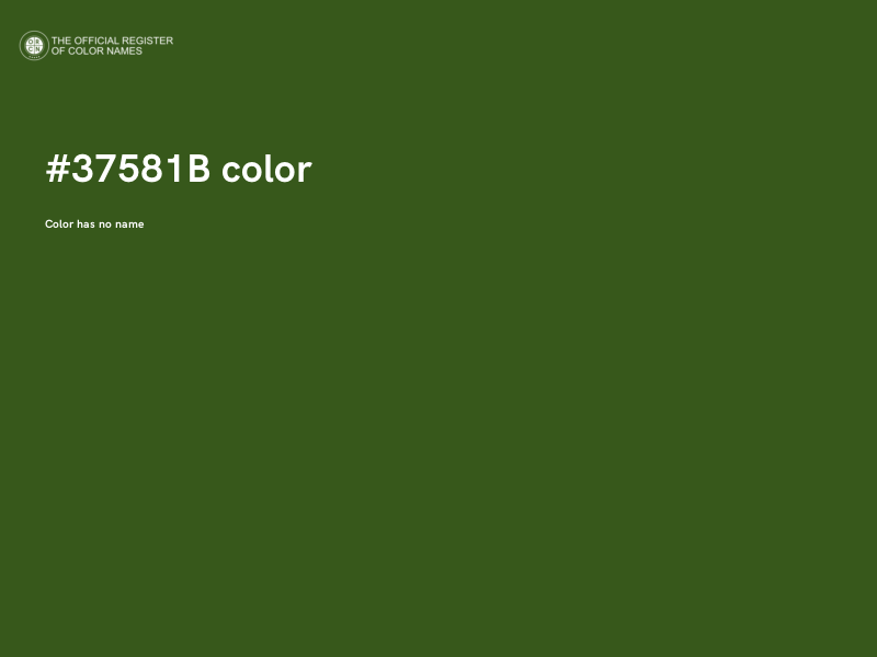 #37581B color image