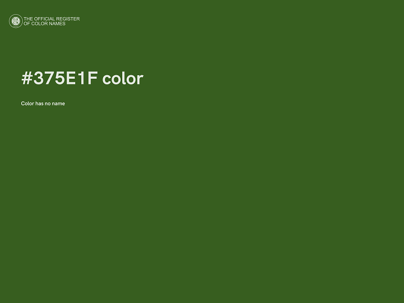 #375E1F color image