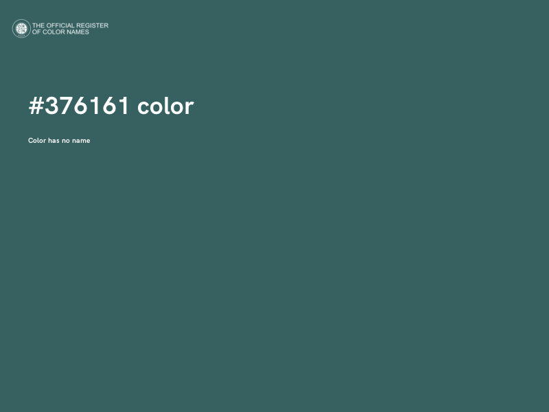 #376161 color image