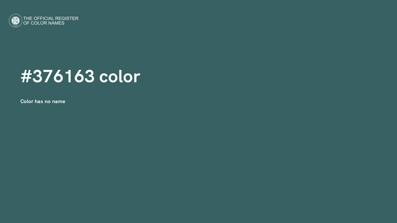 #376163 color image