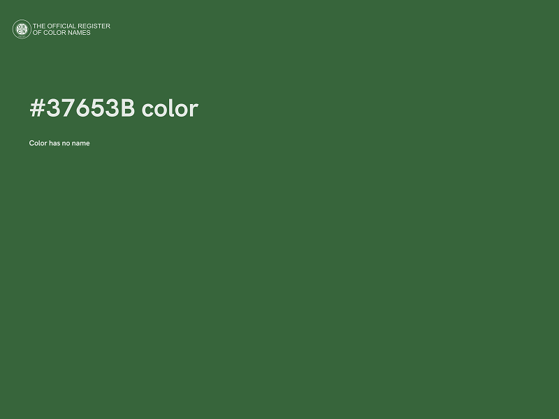 #37653B color image