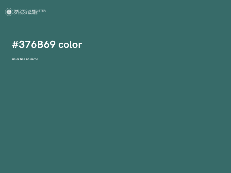 #376B69 color image