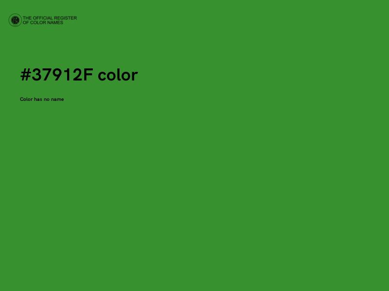 #37912F color image