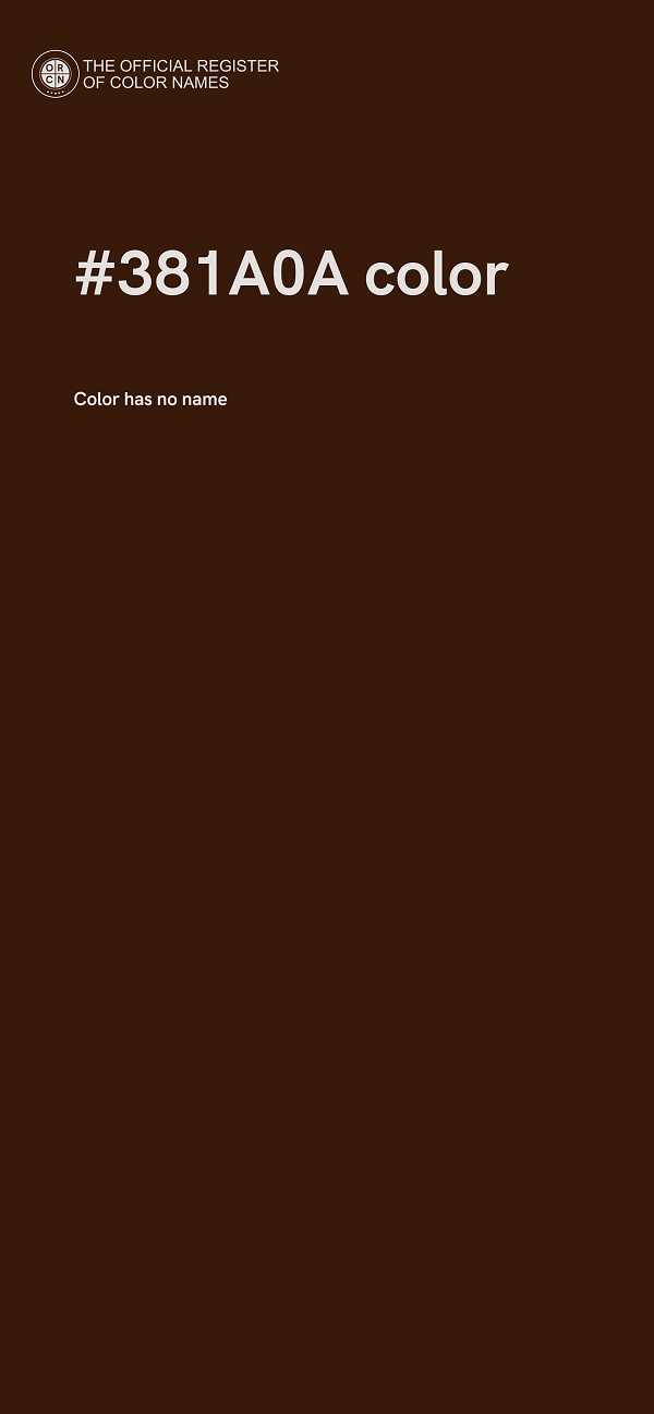 #381A0A color image