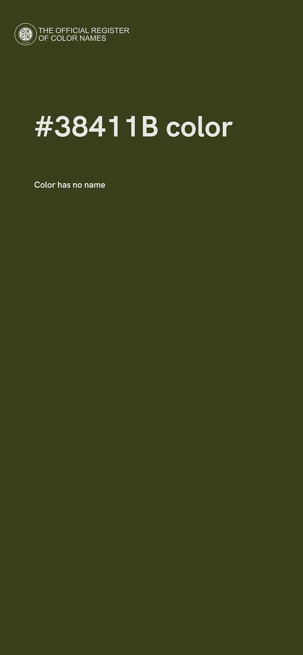 #38411B color image