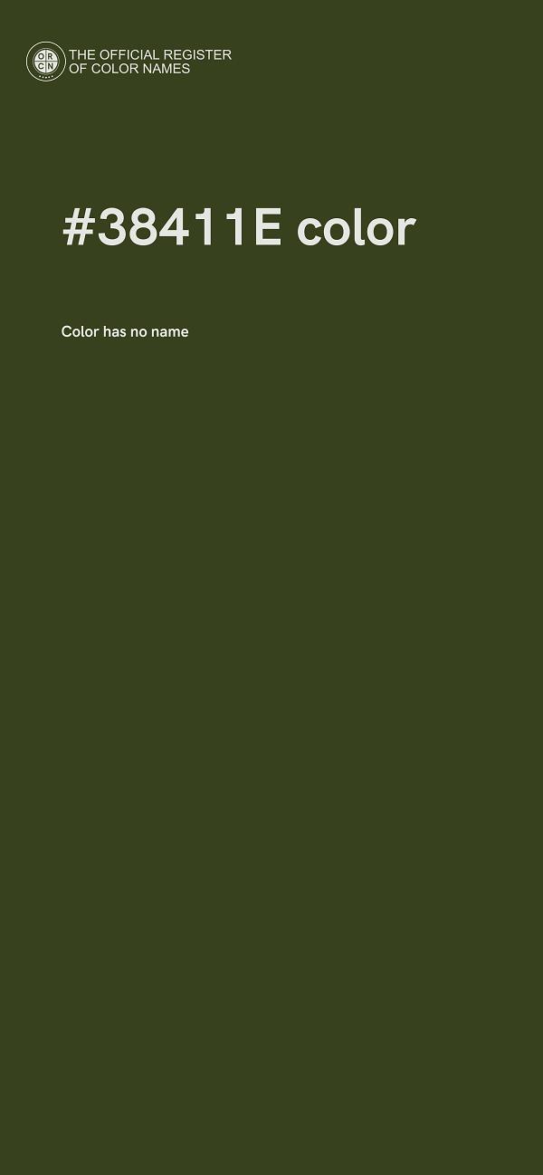 #38411E color image