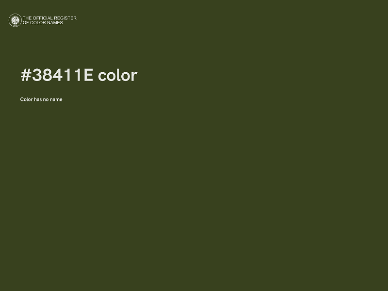 #38411E color image