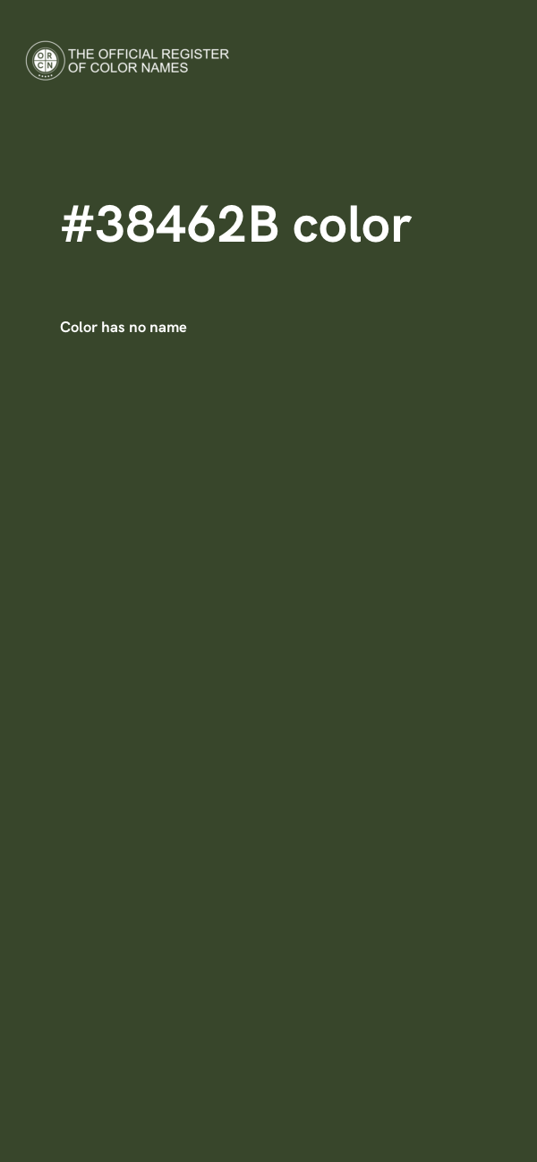 #38462B color image