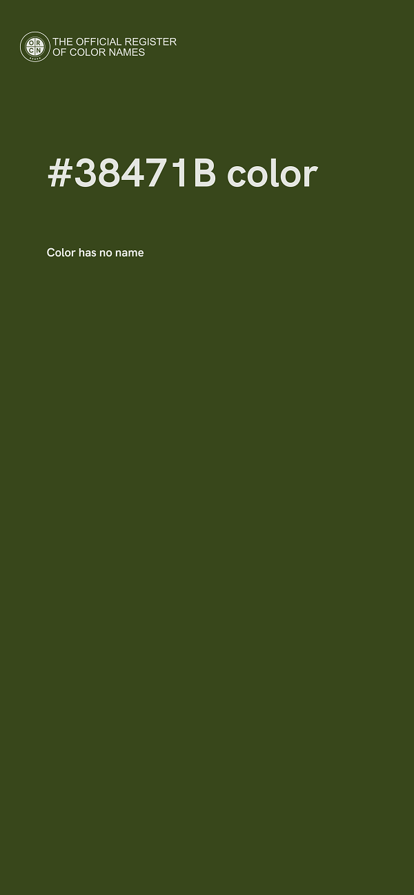 #38471B color image