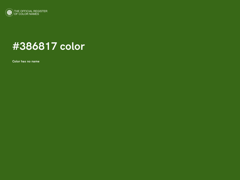 #386817 color image