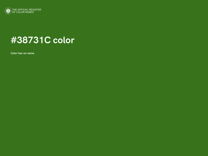 #38731C color image