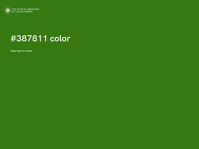 #387811 color image