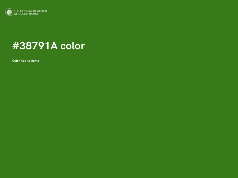 #38791A color image