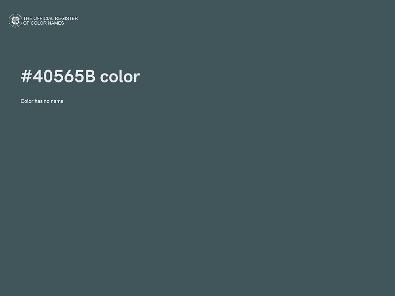 #40565B color image