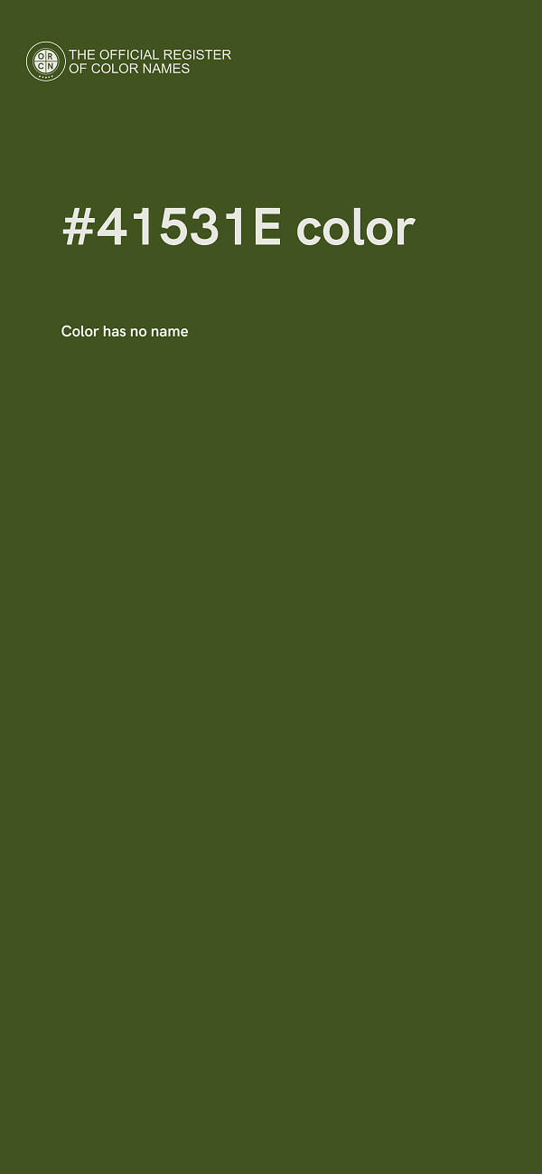 #41531E color image