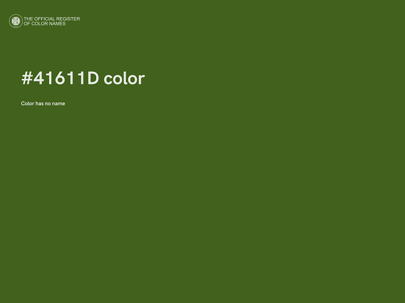 #41611D color image