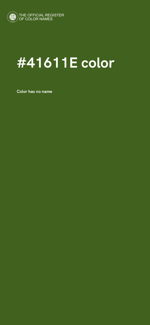 #41611E color image