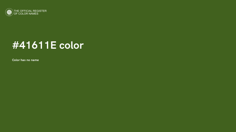 #41611E color image