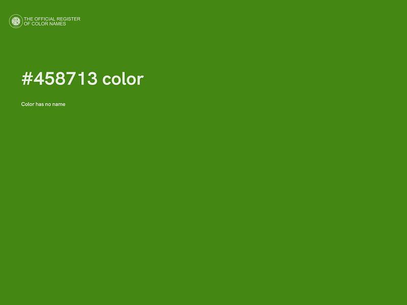 #458713 color image