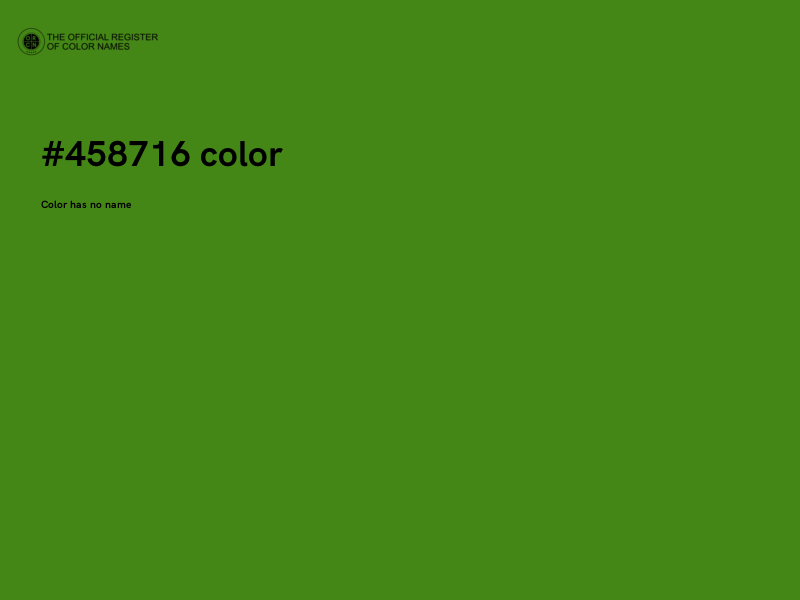 #458716 color image