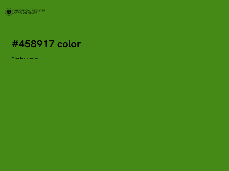 #458917 color image