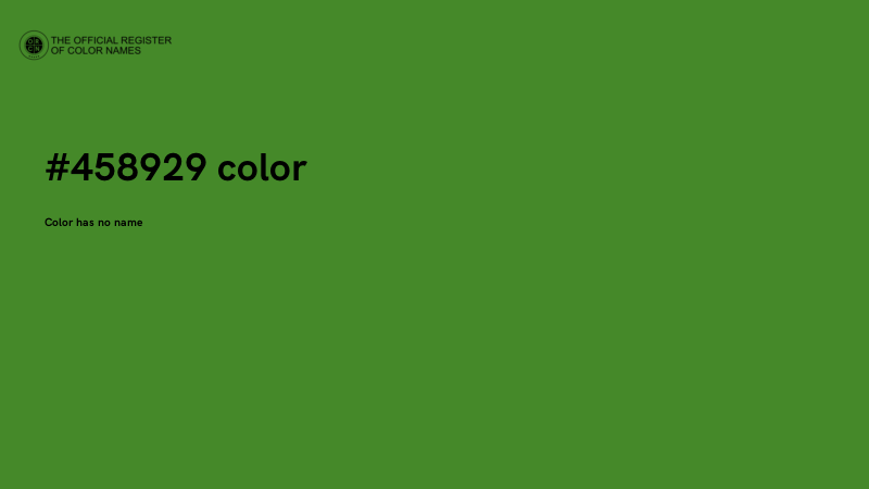 #458929 color image