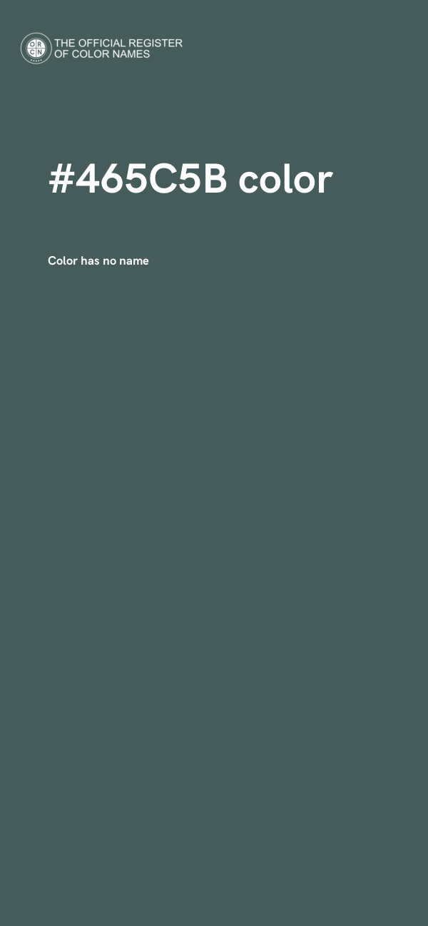 #465C5B color image