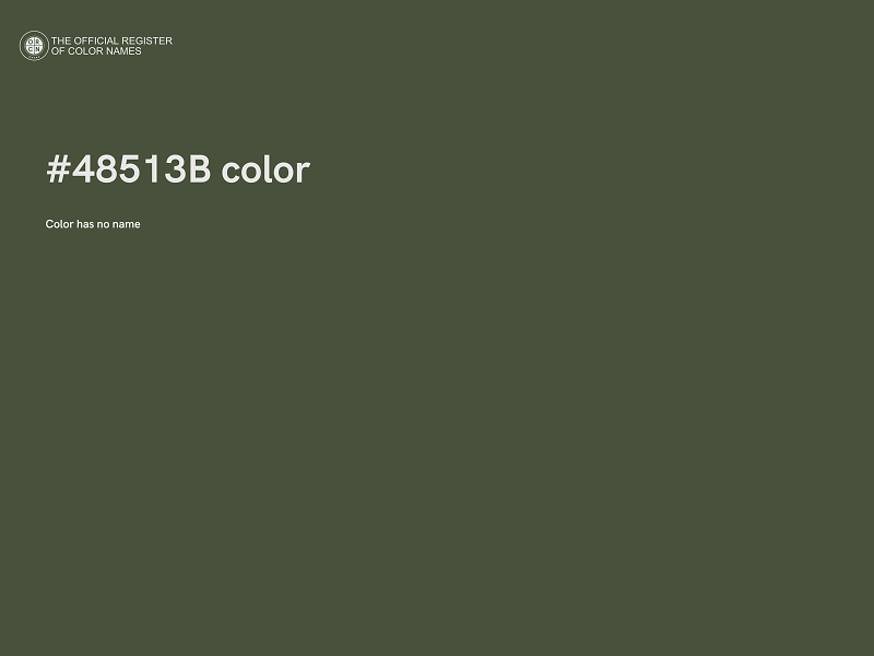 #48513B color image
