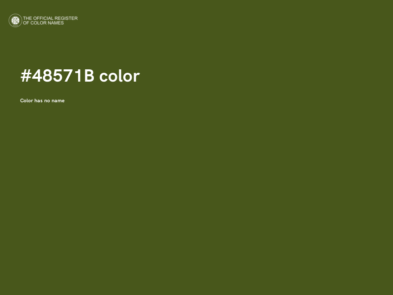 #48571B color image