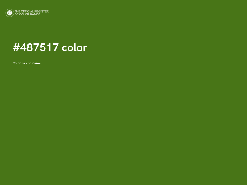 #487517 color image