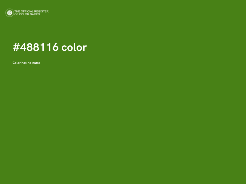 #488116 color image