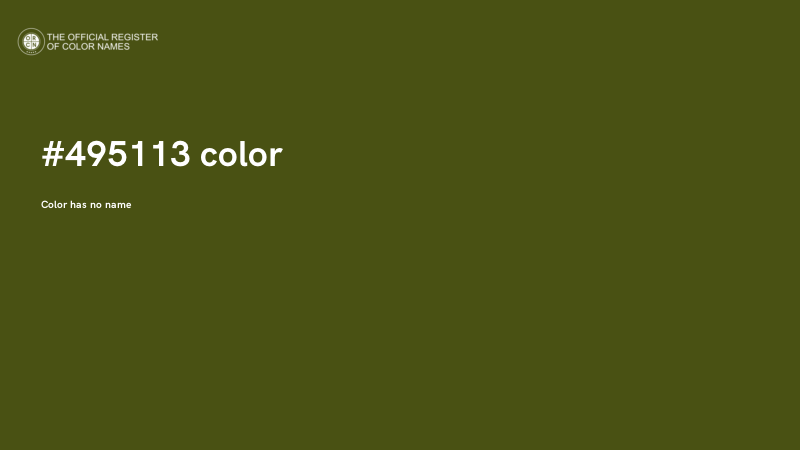 #495113 color image