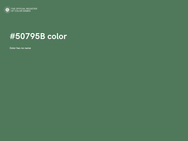 #50795B color image