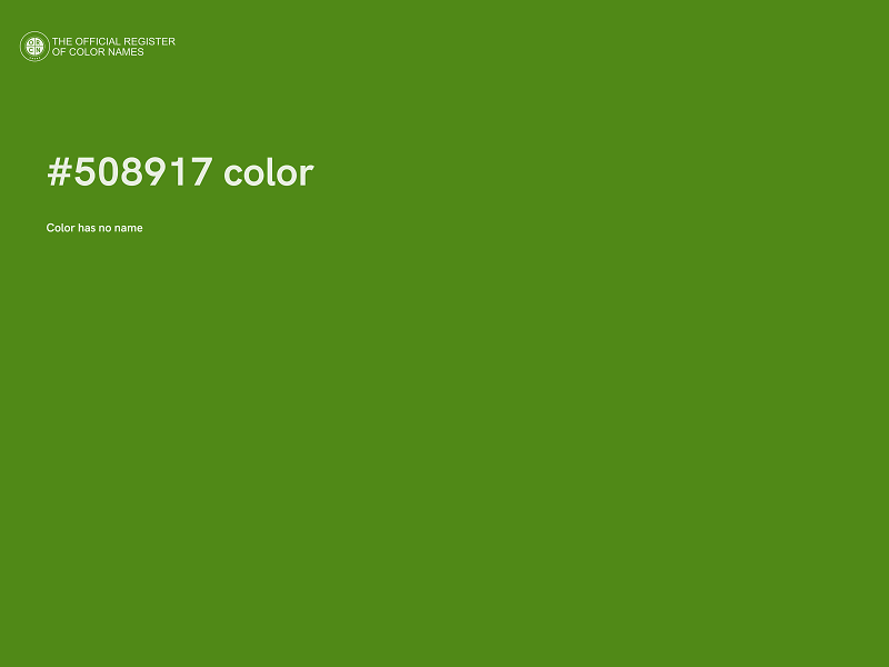 #508917 color image