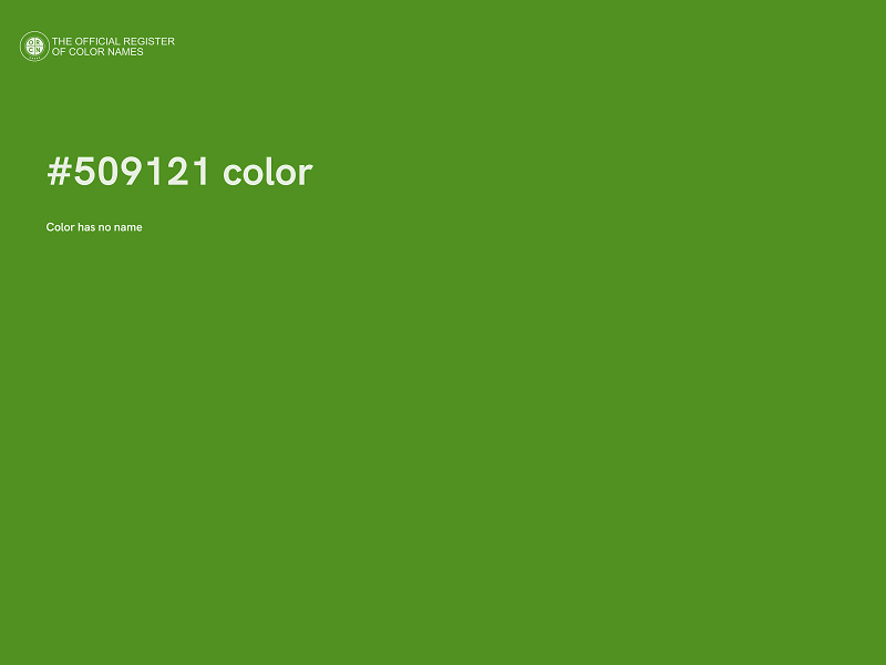 #509121 color image