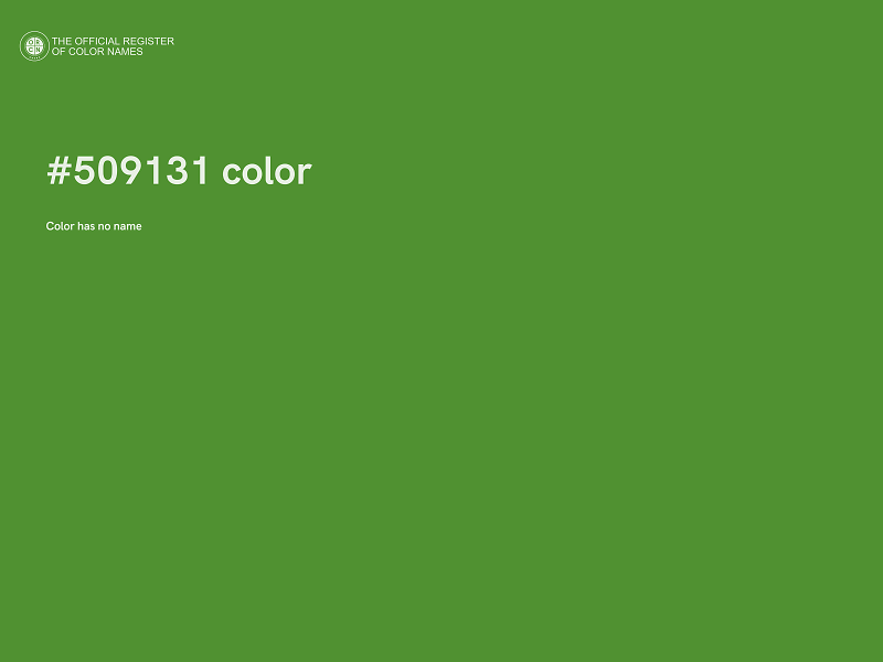 #509131 color image