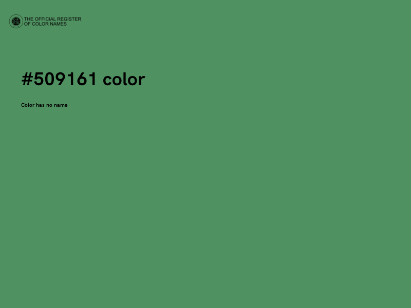 #509161 color image