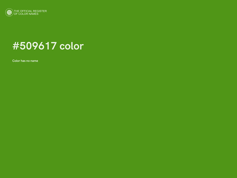 #509617 color image