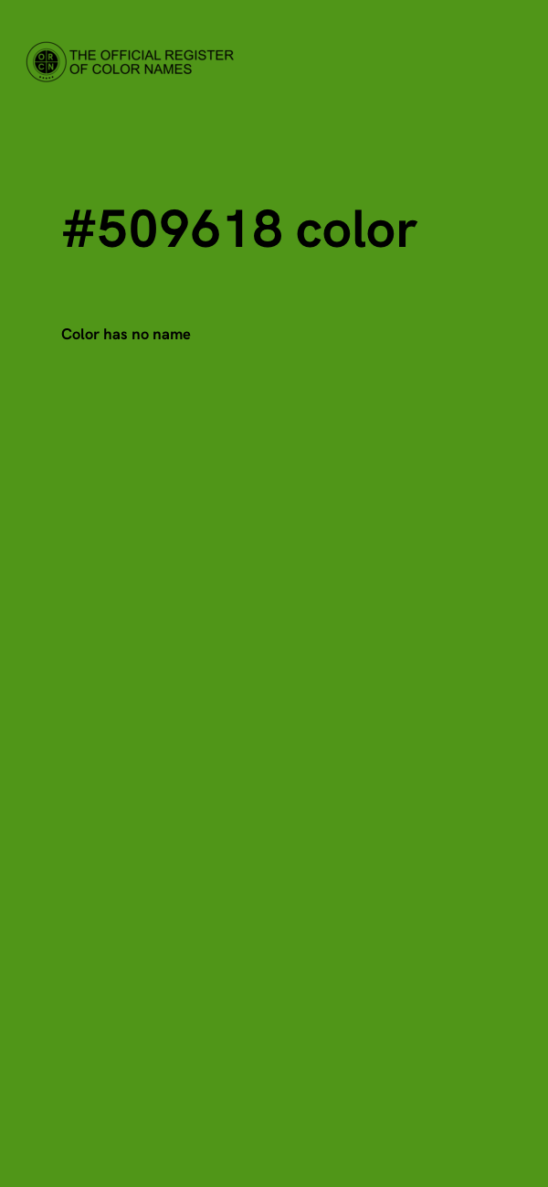 #509618 color image