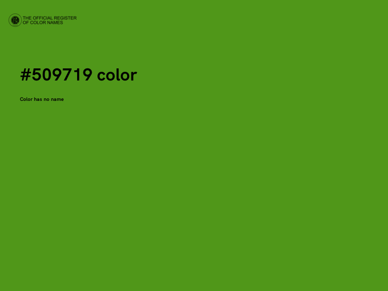 #509719 color image