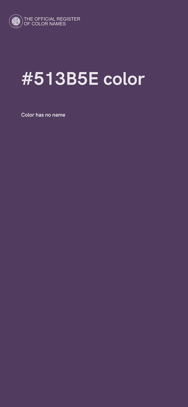 #513B5E color image