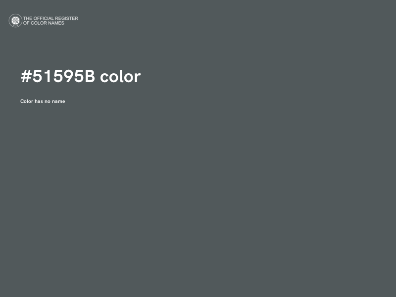 #51595B color image