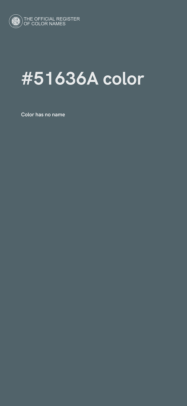 #51636A color image
