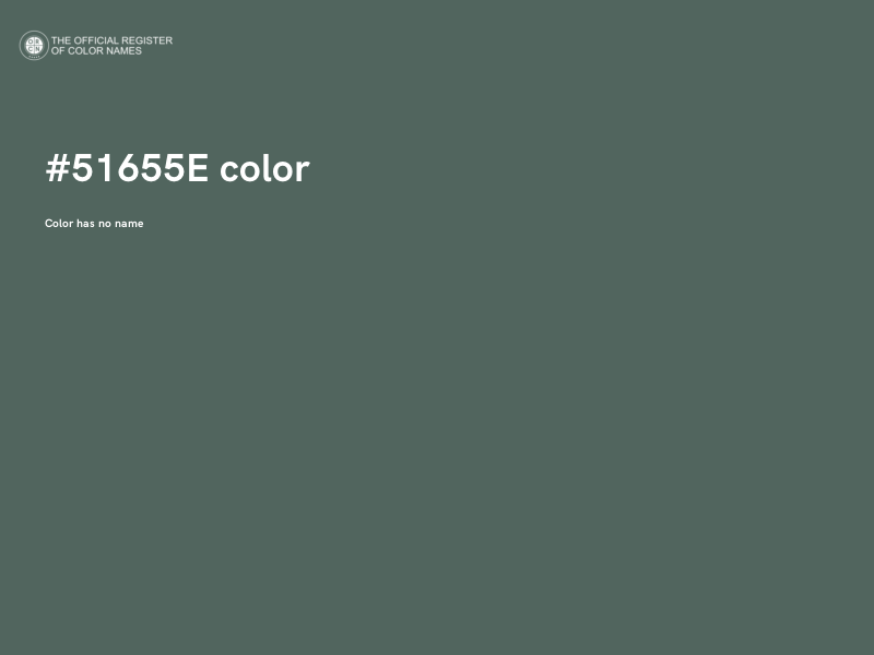 #51655E color image