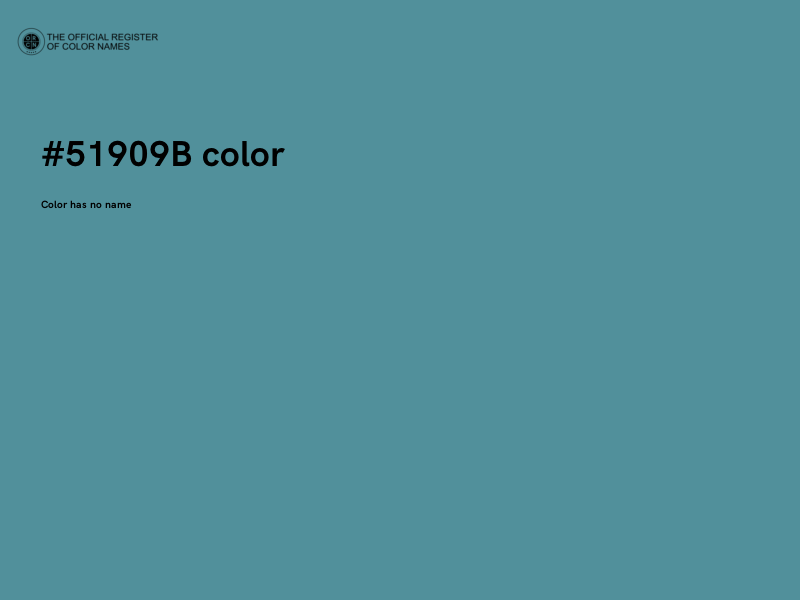 #51909B color image