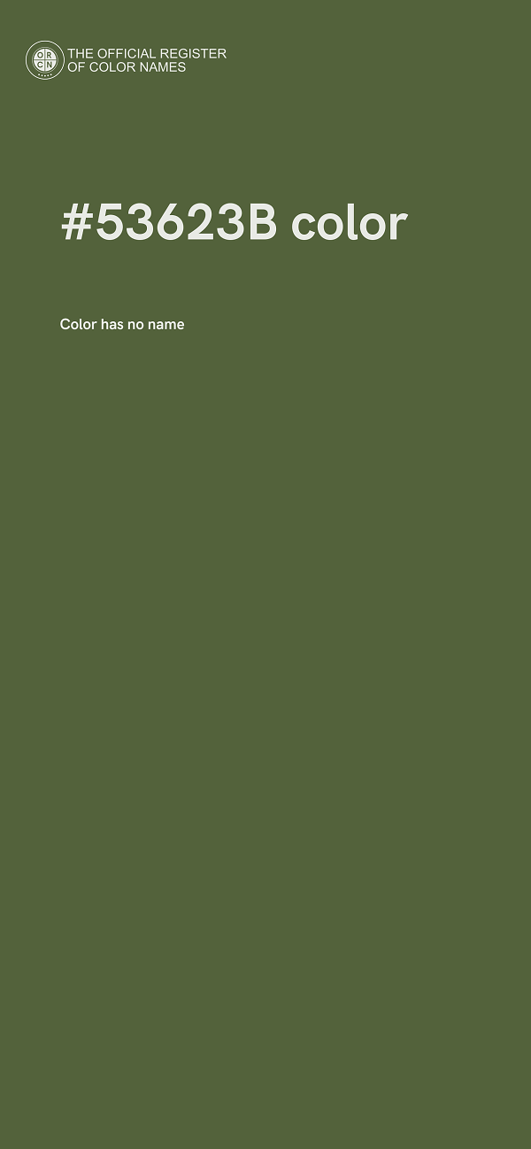 #53623B color image
